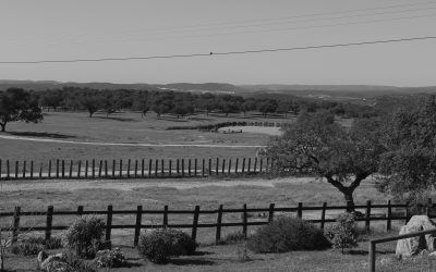 “Lo que te conté mientras te hacías la dormida”