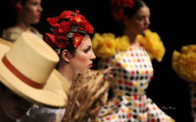 Noveles Simof 2016 II